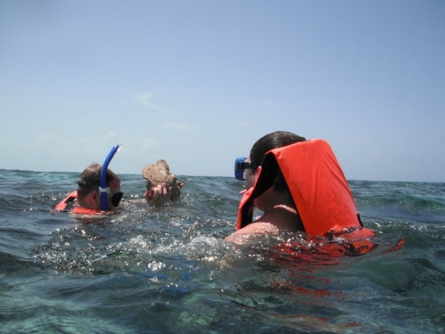 Snorkeling ai Caraibi 